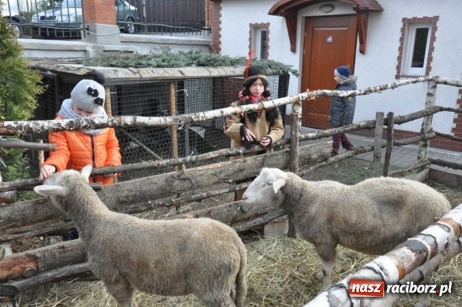Zdjęcie w galerii na portalu naszraciborz.pl: Mali kolędnicy misyjni chcą pomóc Afryce wiadomości z regionu