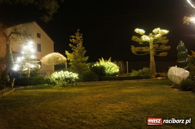 Zdjęcie w galerii na portalu naszraciborz.pl: Ciekawe dekoracje Bożonarodzeniowe domu i posesji - w Rudzie Kozielskiej rozstrzygnięto konkurs  wiadomości z regionu