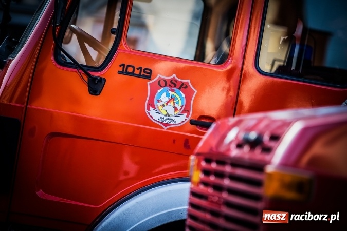 Zdjęcie w galerii na portalu naszraciborz.pl: Zobacz jak Wielka Orkiestra Świątecznej Pomocy zagrała w Raciborzu wiadomości z regionu