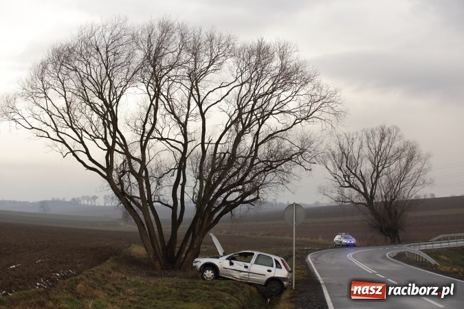 Zdjęcie w galerii na portalu naszraciborz.pl: Dachowanie opla na trasie Racib&oacute;rz - Brzeźnica wiadomości z regionu