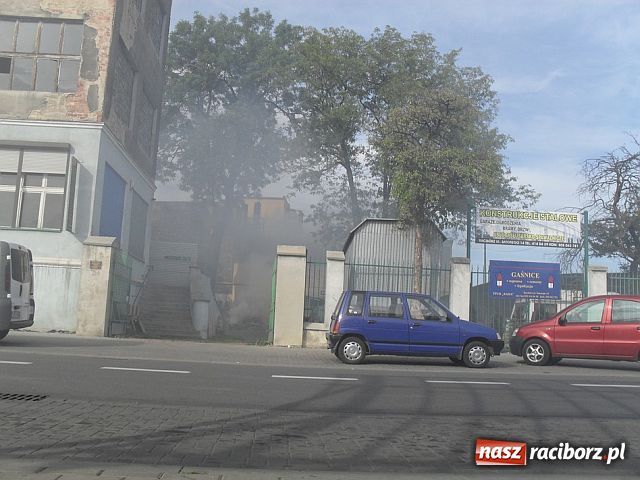 Zdjęcie w galerii na portalu naszraciborz.pl: ZASMRODZONY dworzec PKS wiadomości z regionu