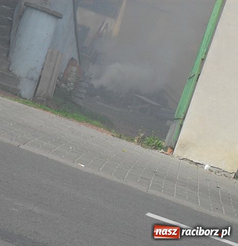 Zdjęcie w galerii na portalu naszraciborz.pl: ZASMRODZONY dworzec PKS wiadomości z regionu