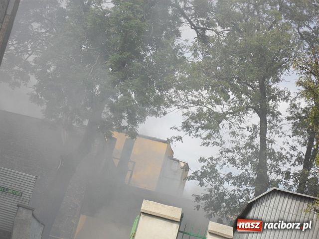 Zdjęcie w galerii na portalu naszraciborz.pl: ZASMRODZONY dworzec PKS wiadomości z regionu