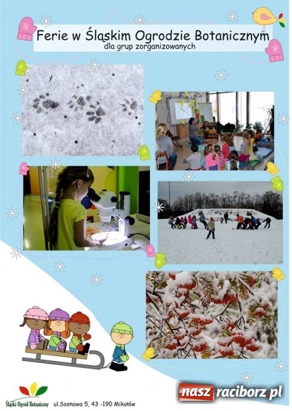 Zdjęcie w galerii na portalu naszraciborz.pl: Ferie z Akademią Bior&oacute;żnorodności wiadomości z regionu