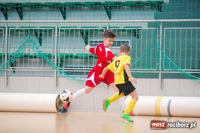 Zdjęcie w galerii na portalu naszraciborz.pl: II kolejka zimowej ligi orlików. Zespoły z regionu walczyły w Arenie Rafako wiadomości z regionu