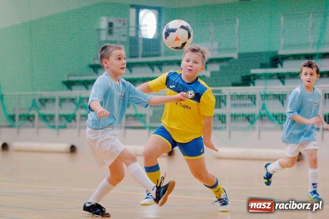 Zdjęcie w galerii na portalu naszraciborz.pl: II kolejka zimowej ligi orlików. Zespoły z regionu walczyły w Arenie Rafako wiadomości z regionu