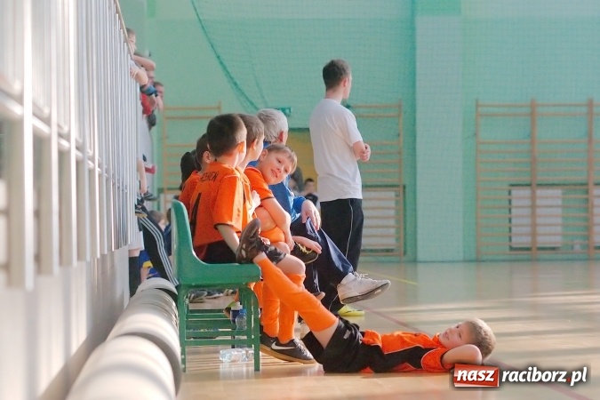 Zdjęcie w galerii na portalu naszraciborz.pl: Niedzielne emocje w halowych zmaganiach żaków wiadomości z regionu