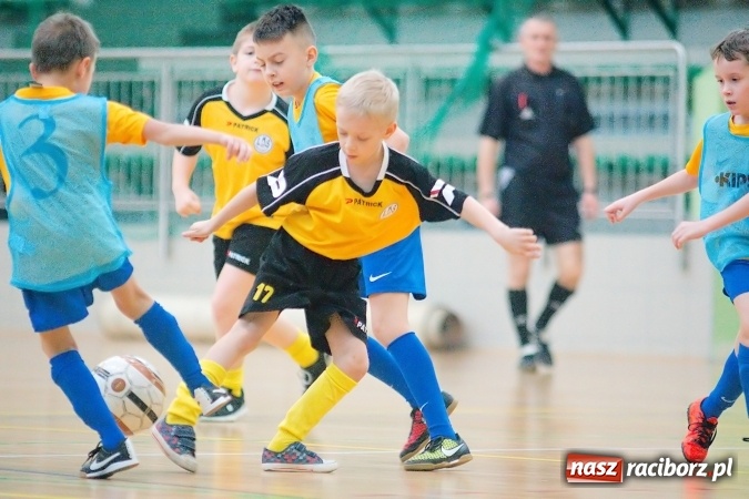 Zdjęcie w galerii na portalu naszraciborz.pl: Niedzielne emocje w halowych zmaganiach żaków wiadomości z regionu