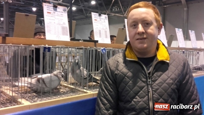 Zdjęcie w galerii na portalu naszraciborz.pl: Ogólnopolski sukces raciborskich hodowców gołębi pocztowych  wiadomości z regionu