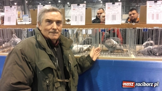 Zdjęcie w galerii na portalu naszraciborz.pl: Ogólnopolski sukces raciborskich hodowców gołębi pocztowych  wiadomości z regionu