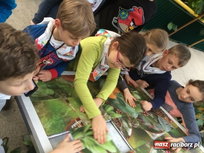 Zdjęcie w galerii na portalu naszraciborz.pl: Uczniowie SP1 na Politechnice Śląskiej w Gliwicach wiadomości z regionu