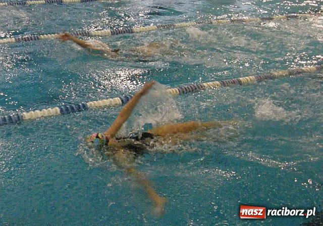 Zdjęcie w galerii na portalu naszraciborz.pl: Międzynarodowe pływanie w Raciborzu wiadomości z regionu