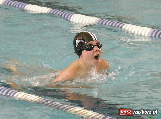 Zdjęcie w galerii na portalu naszraciborz.pl: Międzynarodowe pływanie w Raciborzu wiadomości z regionu