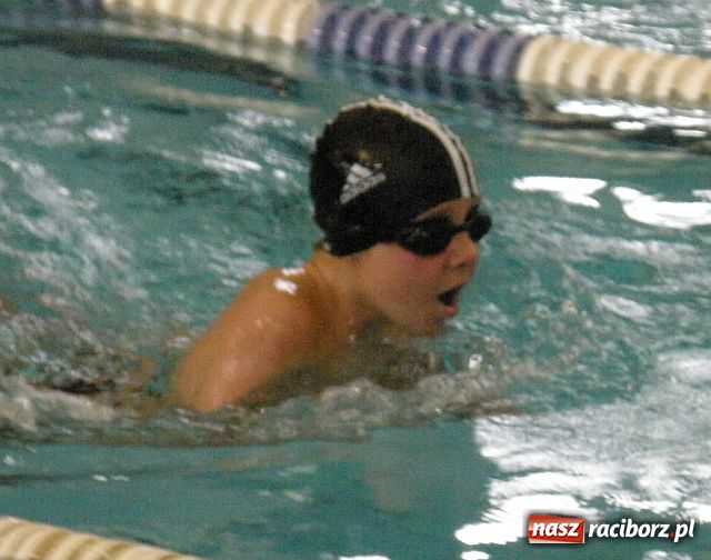 Zdjęcie w galerii na portalu naszraciborz.pl: Międzynarodowe pływanie w Raciborzu wiadomości z regionu
