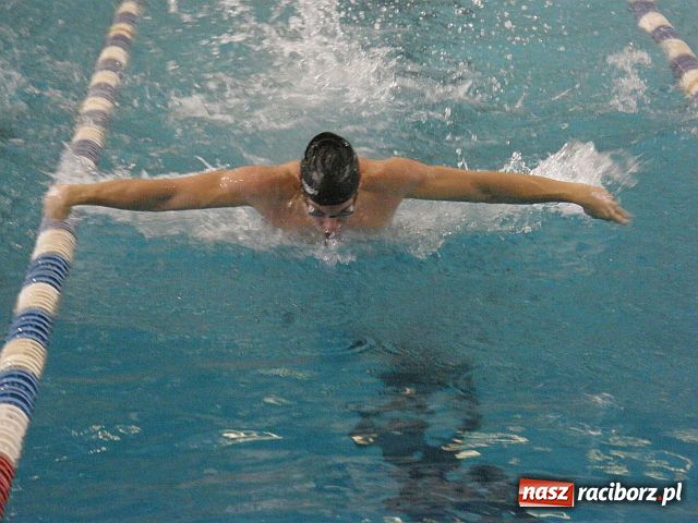 Zdjęcie w galerii na portalu naszraciborz.pl: Międzynarodowe pływanie w Raciborzu wiadomości z regionu