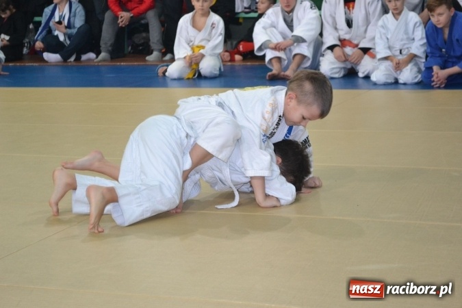 Zdjęcie w galerii na portalu naszraciborz.pl: Raciborzanie z sukcesami walczyli na mysłowickich matach wiadomości z regionu