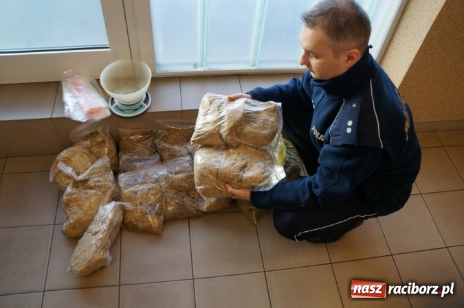 Zdjęcie w galerii na portalu naszraciborz.pl: Policjanci z Raciborza przejęli nielegalny tytoń wiadomości z regionu