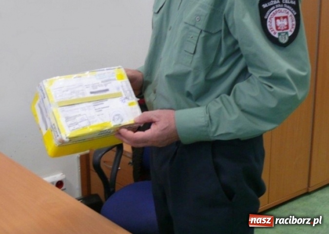 Zdjęcie w galerii na portalu naszraciborz.pl: Śląscy celnicy z Tilią kontrolują przesyłki pocztowe. Znajdują anaboliki i ginące gatunki zwierząt wiadomości z regionu