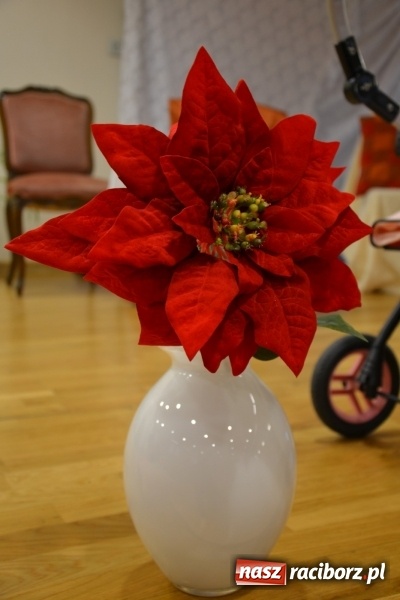 Zdjęcie w galerii na portalu naszraciborz.pl: Podwieczorek z piosenką, poezją i humorem - widowisko na zamku wiadomości z regionu