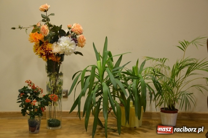 Zdjęcie w galerii na portalu naszraciborz.pl: Podwieczorek z piosenką, poezją i humorem - widowisko na zamku wiadomości z regionu