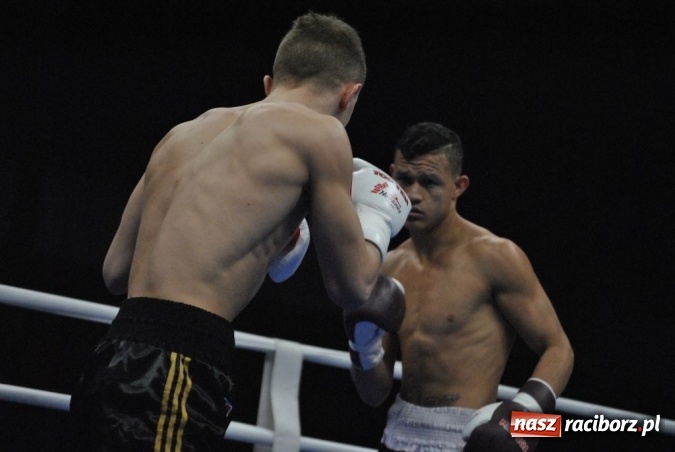 Zdjęcie w galerii na portalu naszraciborz.pl: Wygrana Michała Olasia nie dała zwycięstwa Husarii nad Wenezuelą  wiadomości z regionu
