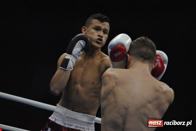 Zdjęcie w galerii na portalu naszraciborz.pl: Wygrana Michała Olasia nie dała zwycięstwa Husarii nad Wenezuelą  wiadomości z regionu