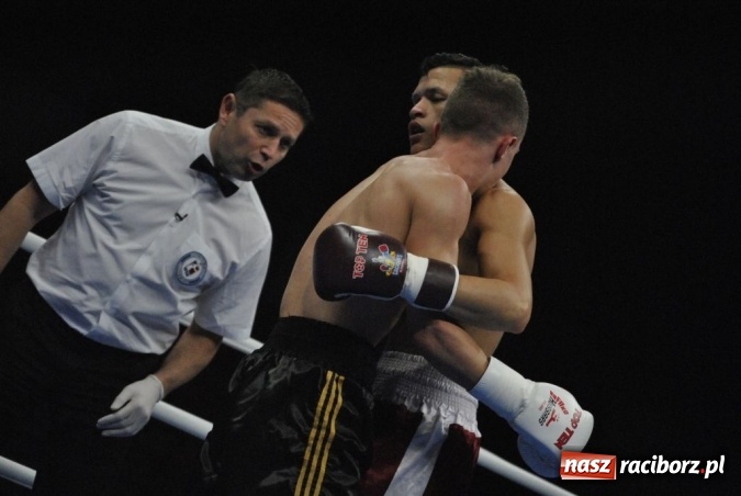 Zdjęcie w galerii na portalu naszraciborz.pl: Wygrana Michała Olasia nie dała zwycięstwa Husarii nad Wenezuelą  wiadomości z regionu