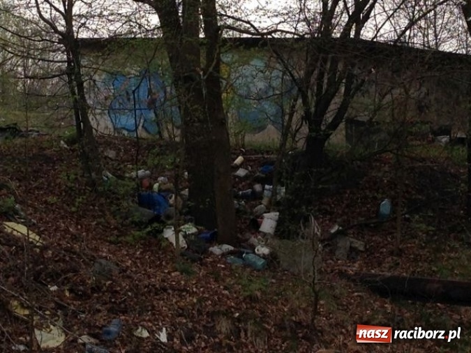 Zdjęcie w galerii na portalu naszraciborz.pl: Dzikie wysypiska śmieci – podsumowanie akcji wiadomości z regionu