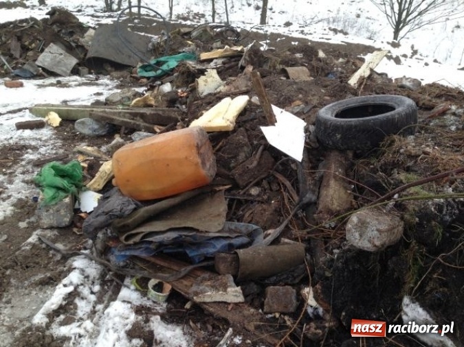 Zdjęcie w galerii na portalu naszraciborz.pl: Dzikie wysypiska śmieci – podsumowanie akcji wiadomości z regionu