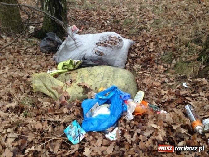 Zdjęcie w galerii na portalu naszraciborz.pl: Dzikie wysypiska śmieci – podsumowanie akcji wiadomości z regionu
