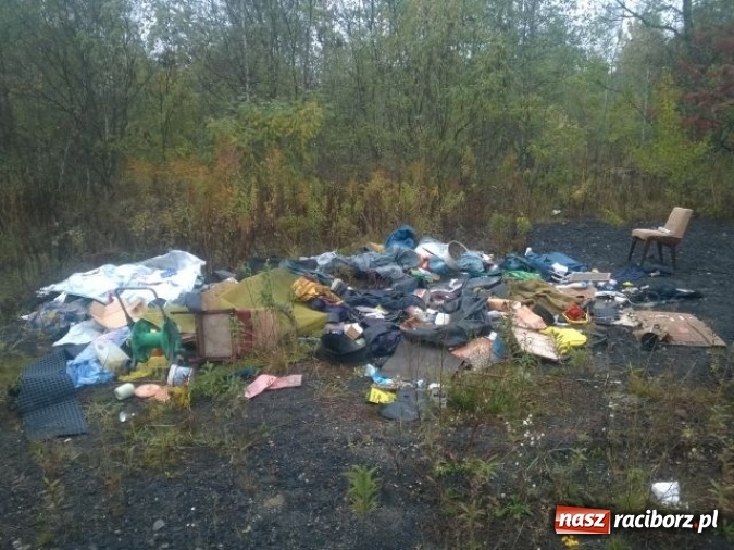 Zdjęcie w galerii na portalu naszraciborz.pl: Dzikie wysypiska śmieci – podsumowanie akcji wiadomości z regionu