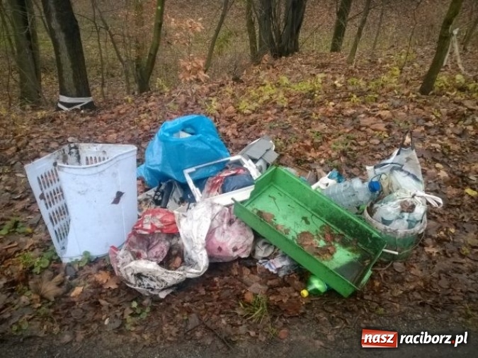 Zdjęcie w galerii na portalu naszraciborz.pl: Dzikie wysypiska śmieci – podsumowanie akcji wiadomości z regionu