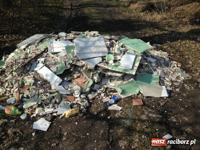 Zdjęcie w galerii na portalu naszraciborz.pl: Dzikie wysypiska śmieci – podsumowanie akcji wiadomości z regionu