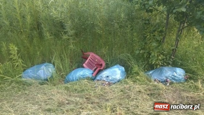 Zdjęcie w galerii na portalu naszraciborz.pl: Dzikie wysypiska śmieci – podsumowanie akcji wiadomości z regionu
