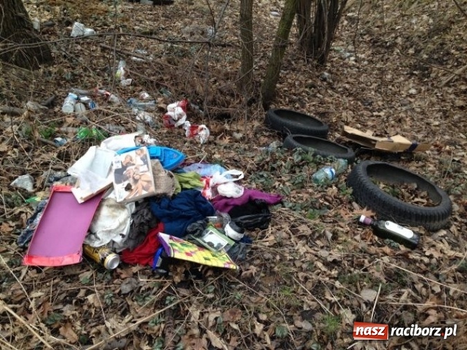 Zdjęcie w galerii na portalu naszraciborz.pl: Dzikie wysypiska śmieci – podsumowanie akcji wiadomości z regionu