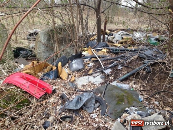 Zdjęcie w galerii na portalu naszraciborz.pl: Dzikie wysypiska śmieci – podsumowanie akcji wiadomości z regionu