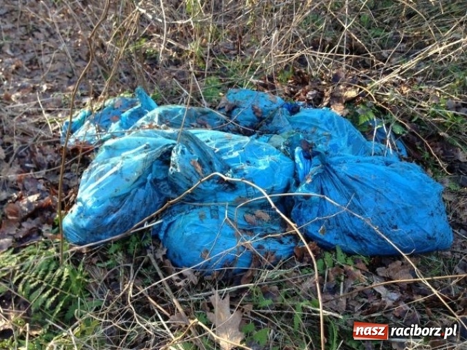 Zdjęcie w galerii na portalu naszraciborz.pl: Dzikie wysypiska śmieci – podsumowanie akcji wiadomości z regionu