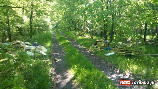 Zdjęcie w galerii na portalu naszraciborz.pl: Dzikie wysypiska śmieci – podsumowanie akcji wiadomości z regionu