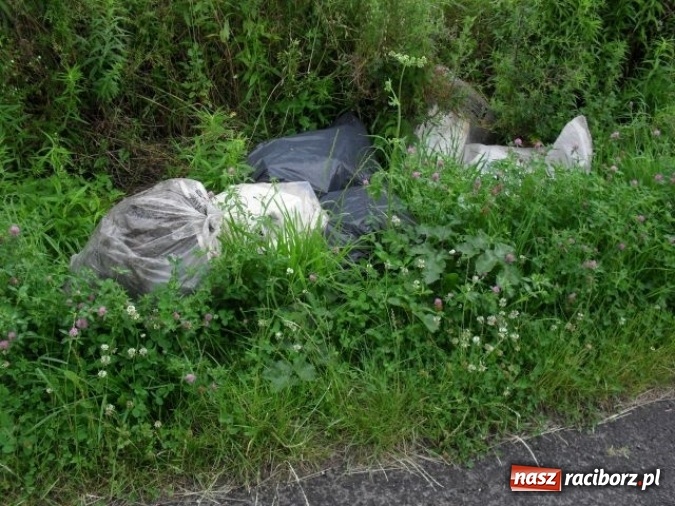 Zdjęcie w galerii na portalu naszraciborz.pl: Dzikie wysypiska śmieci – podsumowanie akcji wiadomości z regionu