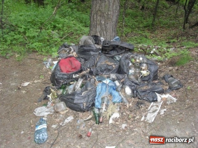 Zdjęcie w galerii na portalu naszraciborz.pl: Dzikie wysypiska śmieci – podsumowanie akcji wiadomości z regionu