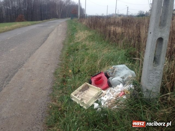 Zdjęcie w galerii na portalu naszraciborz.pl: Dzikie wysypiska śmieci – podsumowanie akcji wiadomości z regionu