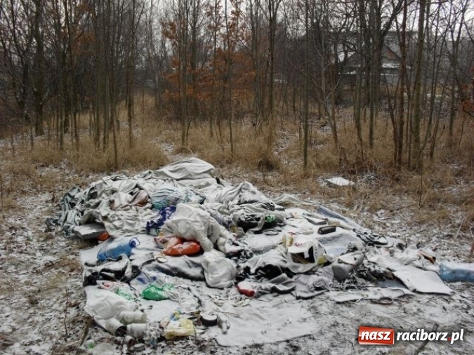 Zdjęcie w galerii na portalu naszraciborz.pl: Dzikie wysypiska śmieci – podsumowanie akcji wiadomości z regionu