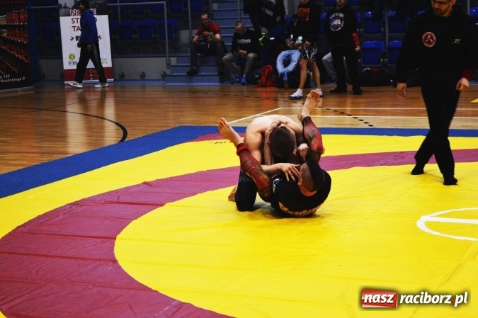 Zdjęcie w galerii na portalu naszraciborz.pl: Sukcesy zawodników Łamatora Racibórz i Spartana Knurów w II Otwartym Pucharze Polski Południowej BJJ NO GI wiadomości z regionu