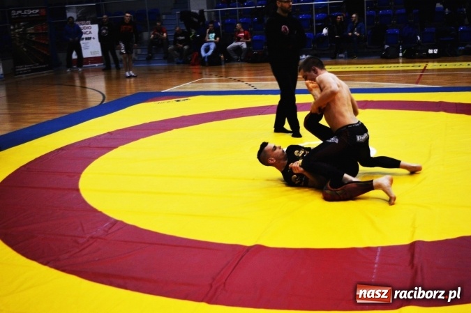 Zdjęcie w galerii na portalu naszraciborz.pl: Sukcesy zawodników Łamatora Racibórz i Spartana Knurów w II Otwartym Pucharze Polski Południowej BJJ NO GI wiadomości z regionu