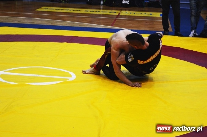 Zdjęcie w galerii na portalu naszraciborz.pl: Sukcesy zawodników Łamatora Racibórz i Spartana Knurów w II Otwartym Pucharze Polski Południowej BJJ NO GI wiadomości z regionu