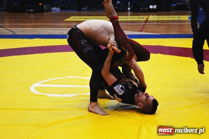 Zdjęcie w galerii na portalu naszraciborz.pl: Sukcesy zawodników Łamatora Racibórz i Spartana Knurów w II Otwartym Pucharze Polski Południowej BJJ NO GI wiadomości z regionu