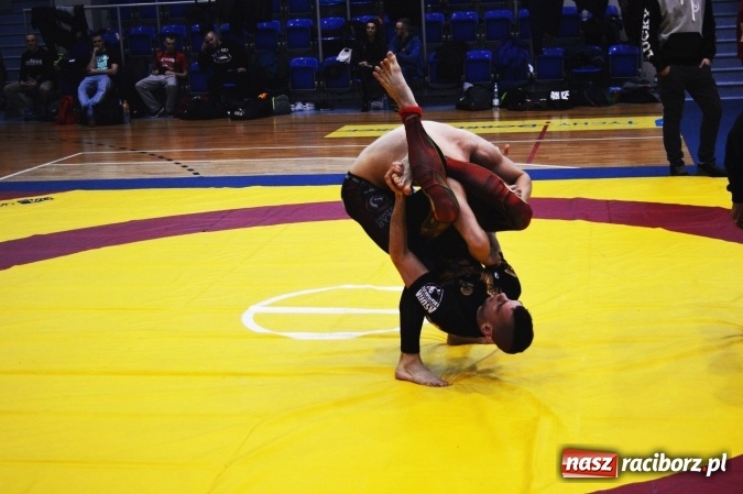 Zdjęcie w galerii na portalu naszraciborz.pl: Sukcesy zawodników Łamatora Racibórz i Spartana Knurów w II Otwartym Pucharze Polski Południowej BJJ NO GI wiadomości z regionu