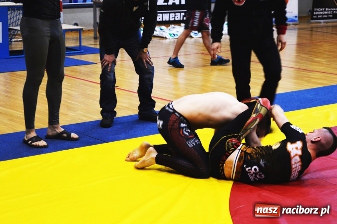 Zdjęcie w galerii na portalu naszraciborz.pl: Sukcesy zawodników Łamatora Racibórz i Spartana Knurów w II Otwartym Pucharze Polski Południowej BJJ NO GI wiadomości z regionu