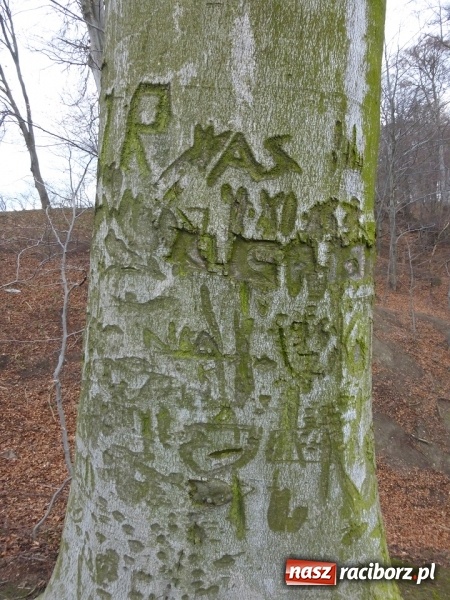 Zdjęcie w galerii na portalu naszraciborz.pl: Tajemniczy Bucz koło Łubowic w gminie Rudnik wiadomości z regionu