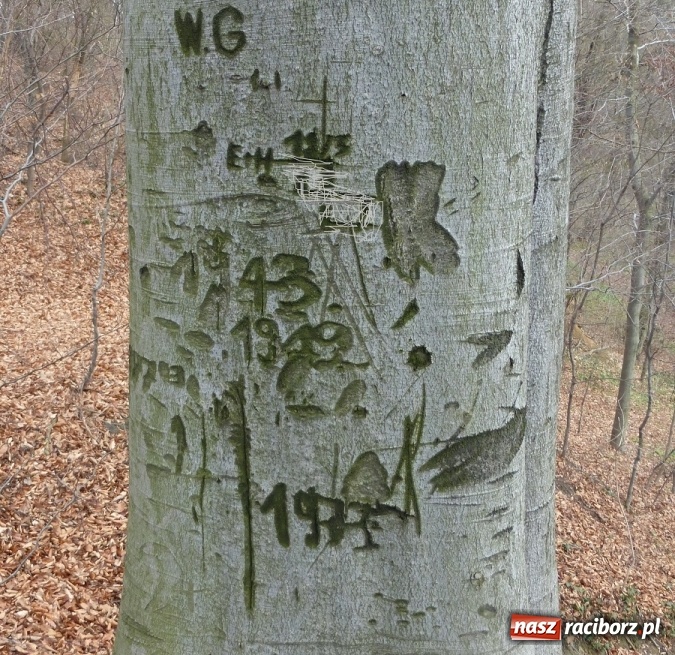Zdjęcie w galerii na portalu naszraciborz.pl: Tajemniczy Bucz koło Łubowic w gminie Rudnik wiadomości z regionu